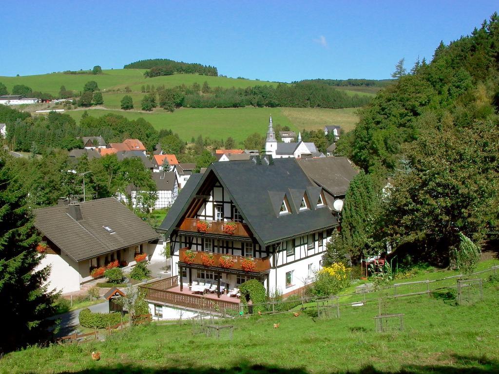 Hotel Lauras Landhauspension Medebach Exterior foto